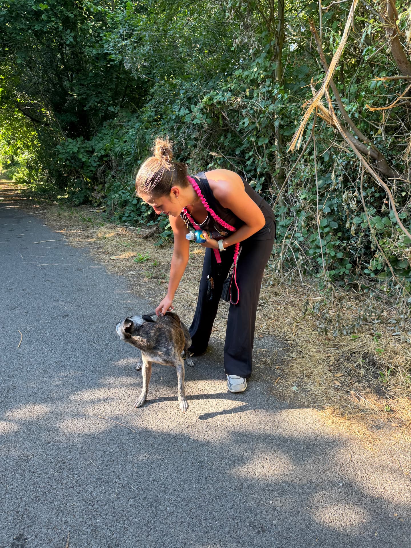 Maddie bending down to fuss a brindle staffy on a shady walk